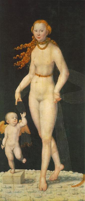 CRANACH, Lucas the Younger Venus and Amor fghe Germany oil painting art